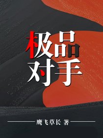 极品对手小说免费封面